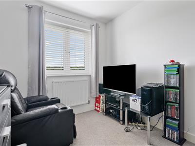 Picture 13
